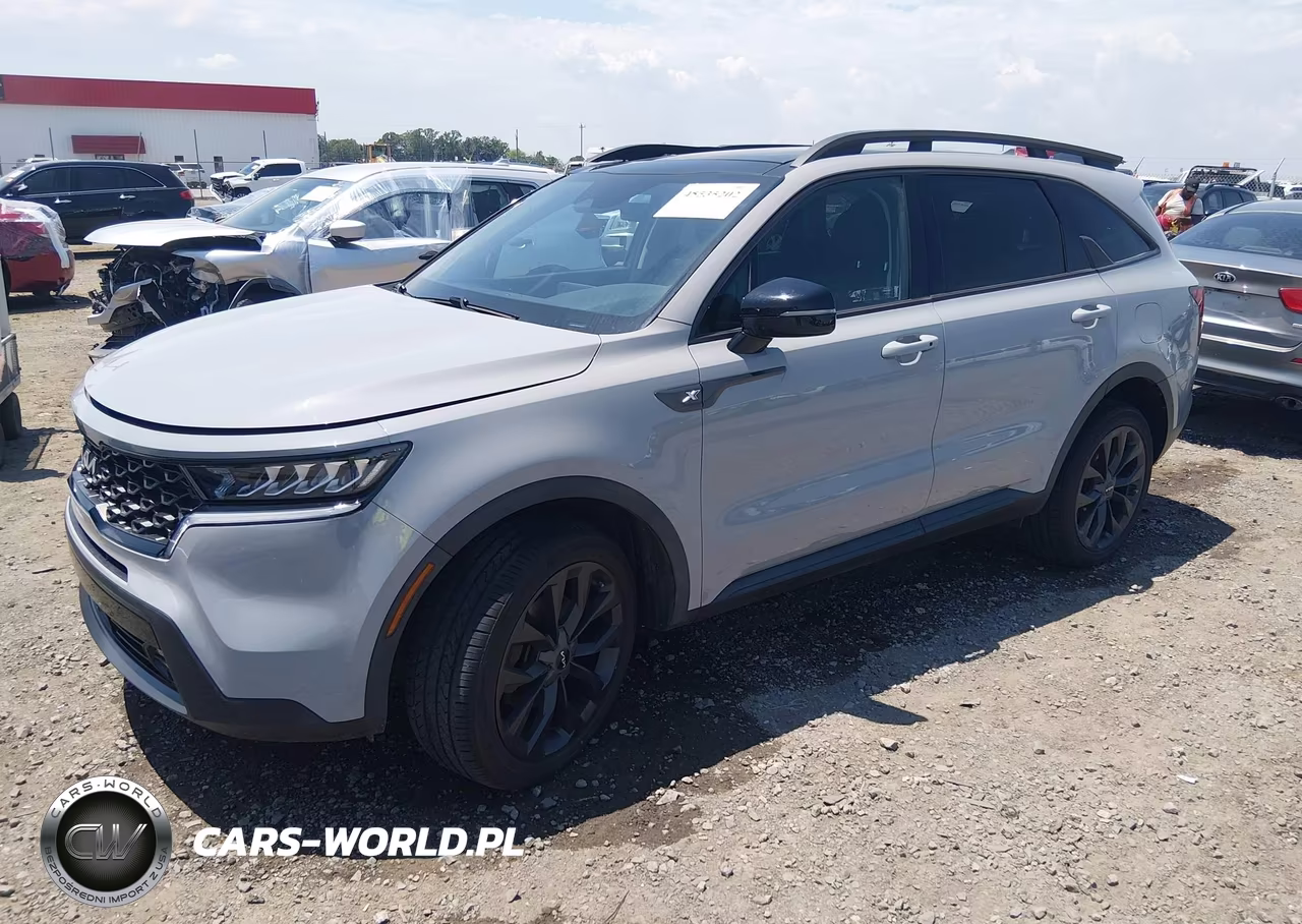 2023 Kia Sorento X-Line Ex VIN:5XYRHDLFXPG168224 - 2