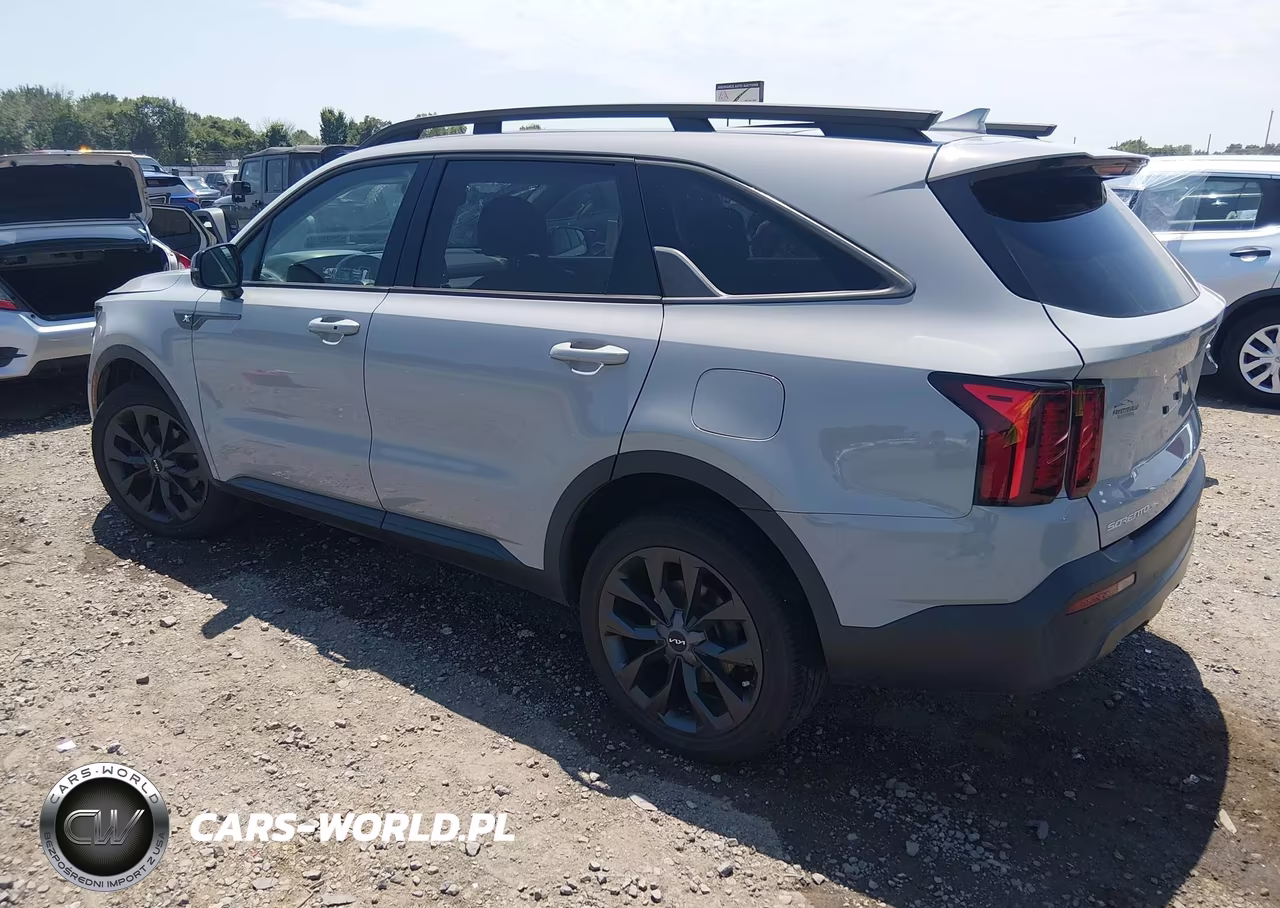 2023 Kia Sorento X-Line Ex VIN:5XYRHDLFXPG168224 - 3