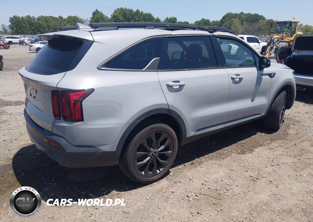 2023 Kia Sorento X-Line Ex VIN:5XYRHDLFXPG168224 - 4