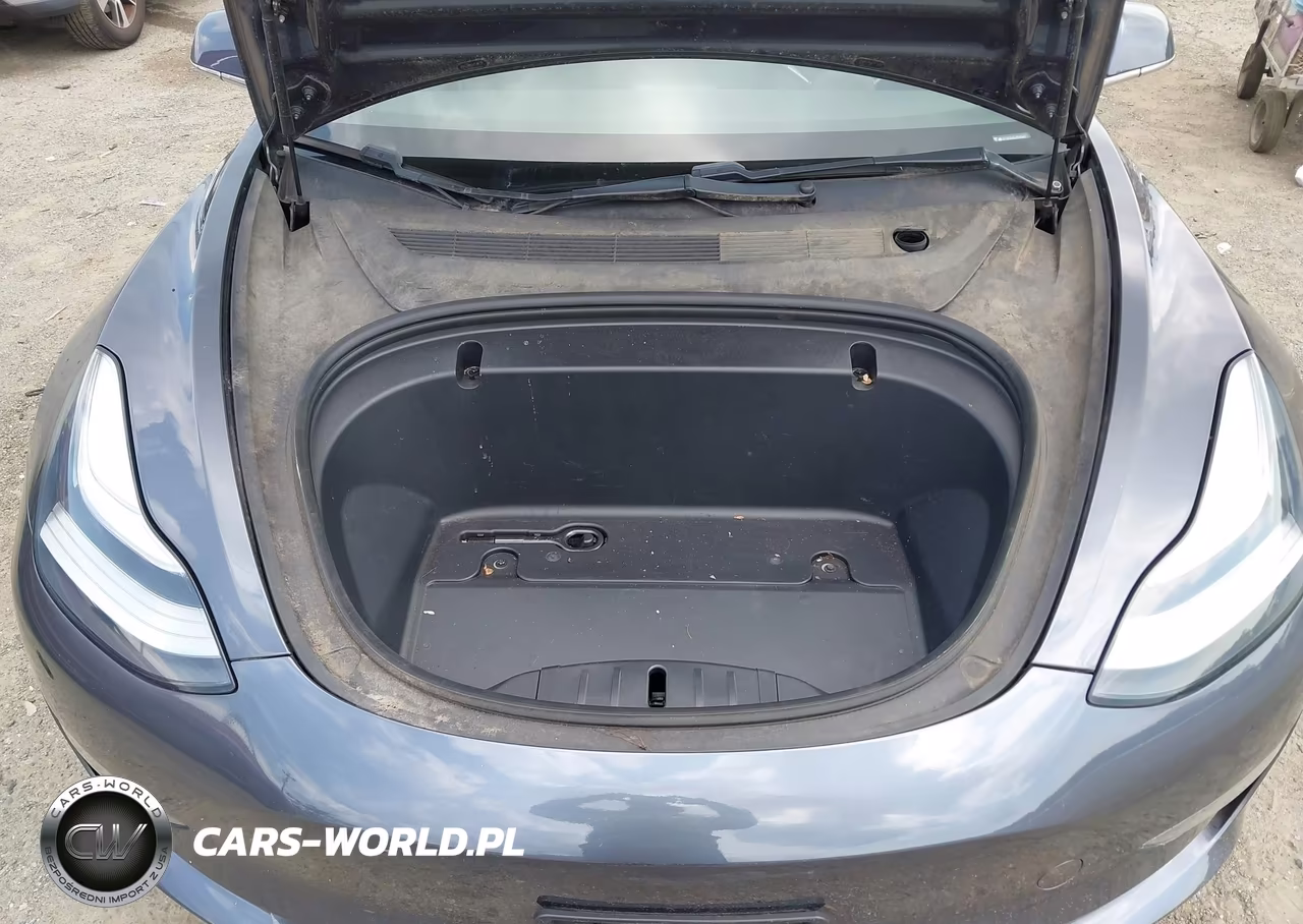 2020 Tesla Model 3 Standard Range Plus Rear-Wheel Drive-Standard Range Rear-Wheel Drive VIN:5YJ3E1EA5LF743443 - 10