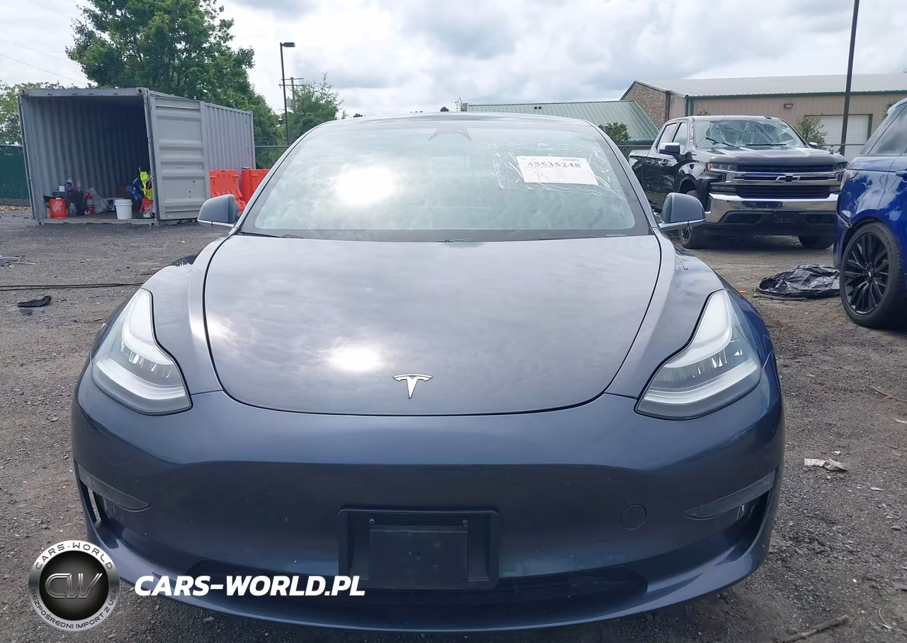 2020 Tesla Model 3 Standard Range Plus Rear-Wheel Drive-Standard Range Rear-Wheel Drive VIN:5YJ3E1EA5LF743443 - 12