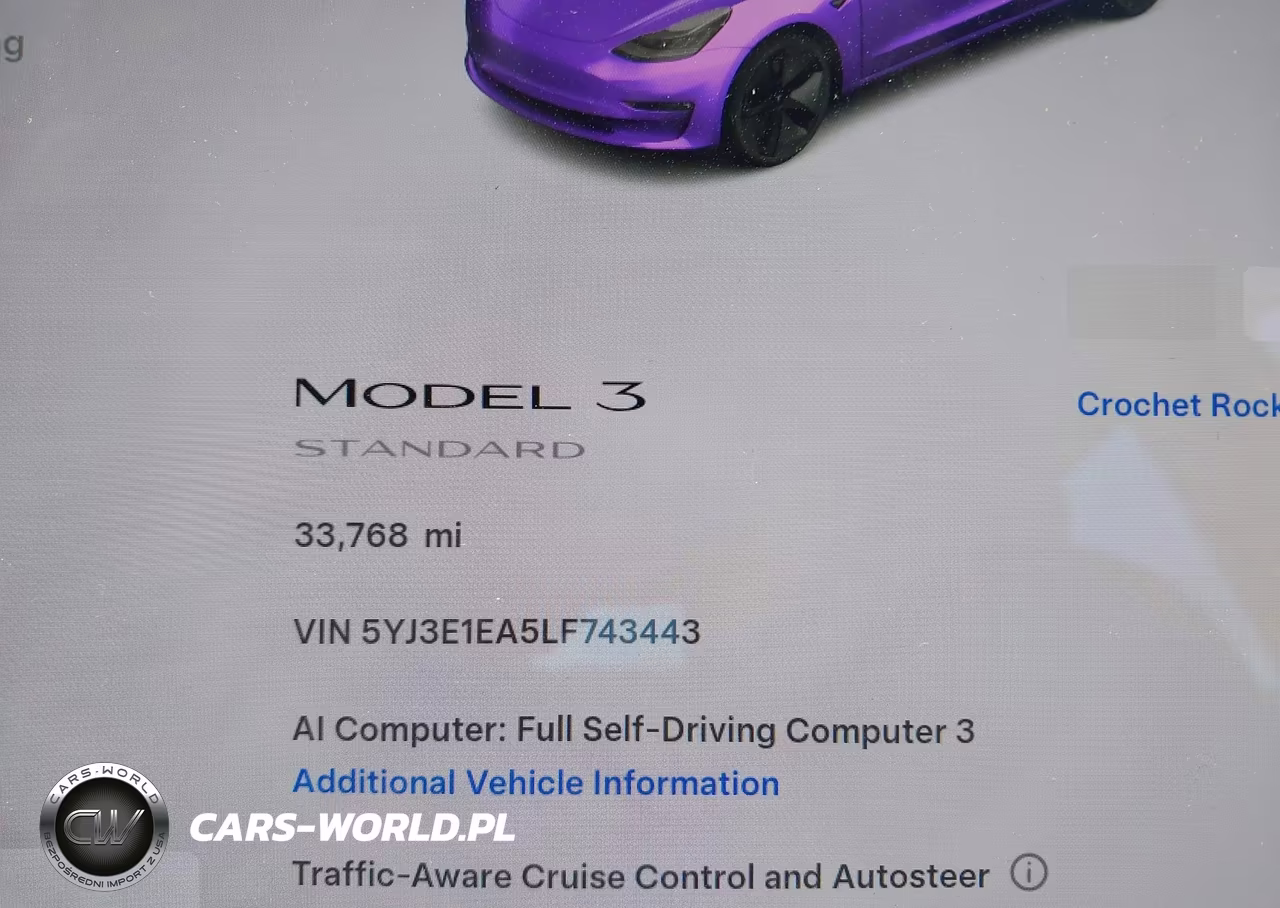 2020 Tesla Model 3 Standard Range Plus Rear-Wheel Drive-Standard Range Rear-Wheel Drive VIN:5YJ3E1EA5LF743443 - 7