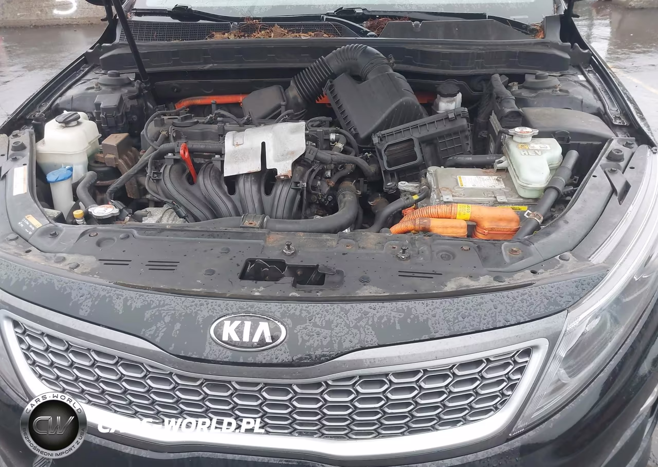 2016 Kia Optima Hybrid VIN:KNAGM4AD6G5099638 - 10