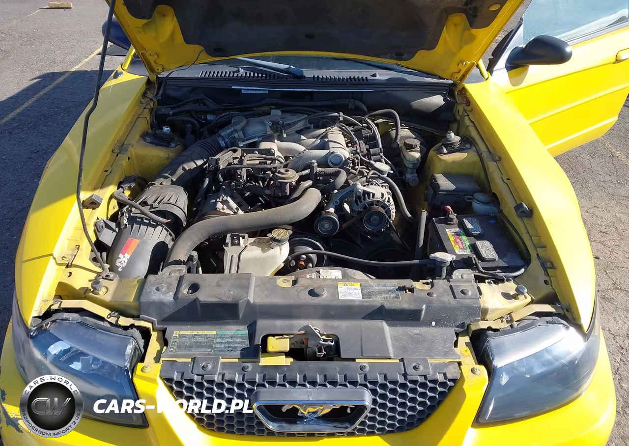 2004 Ford Mustang VIN:1FAFP44664F188897 - 10