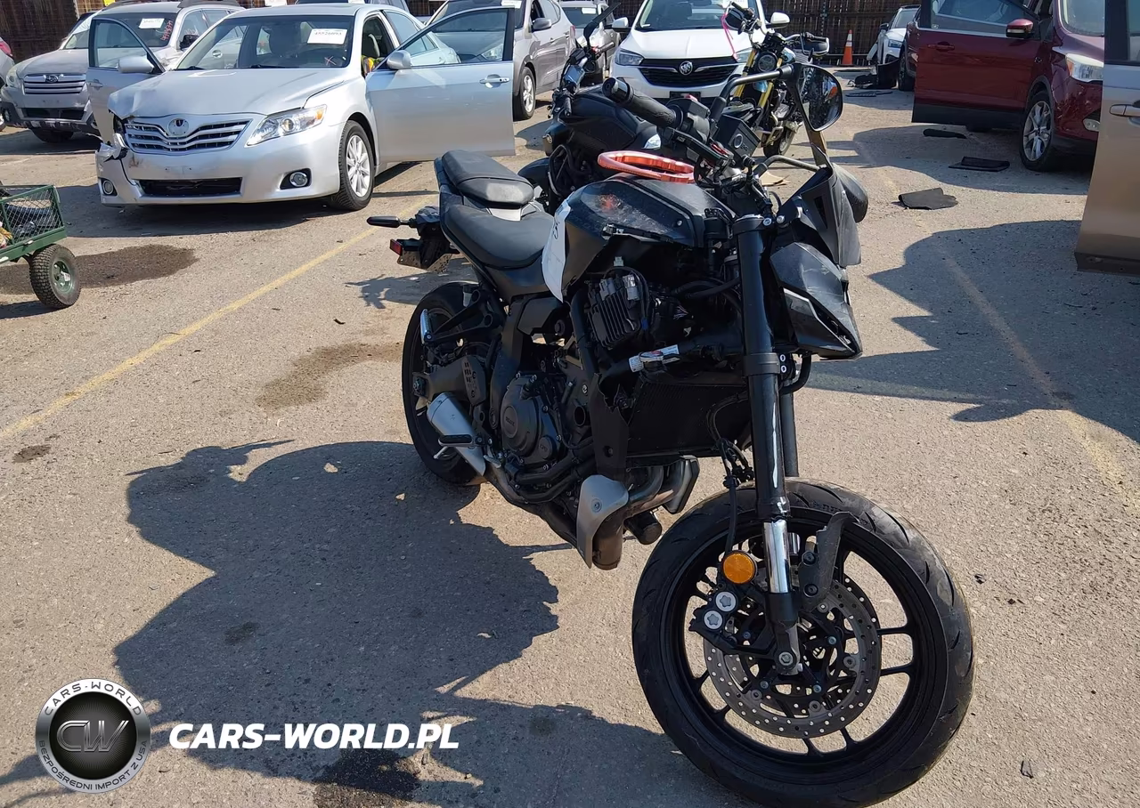 2025 Yamaha Mtn690