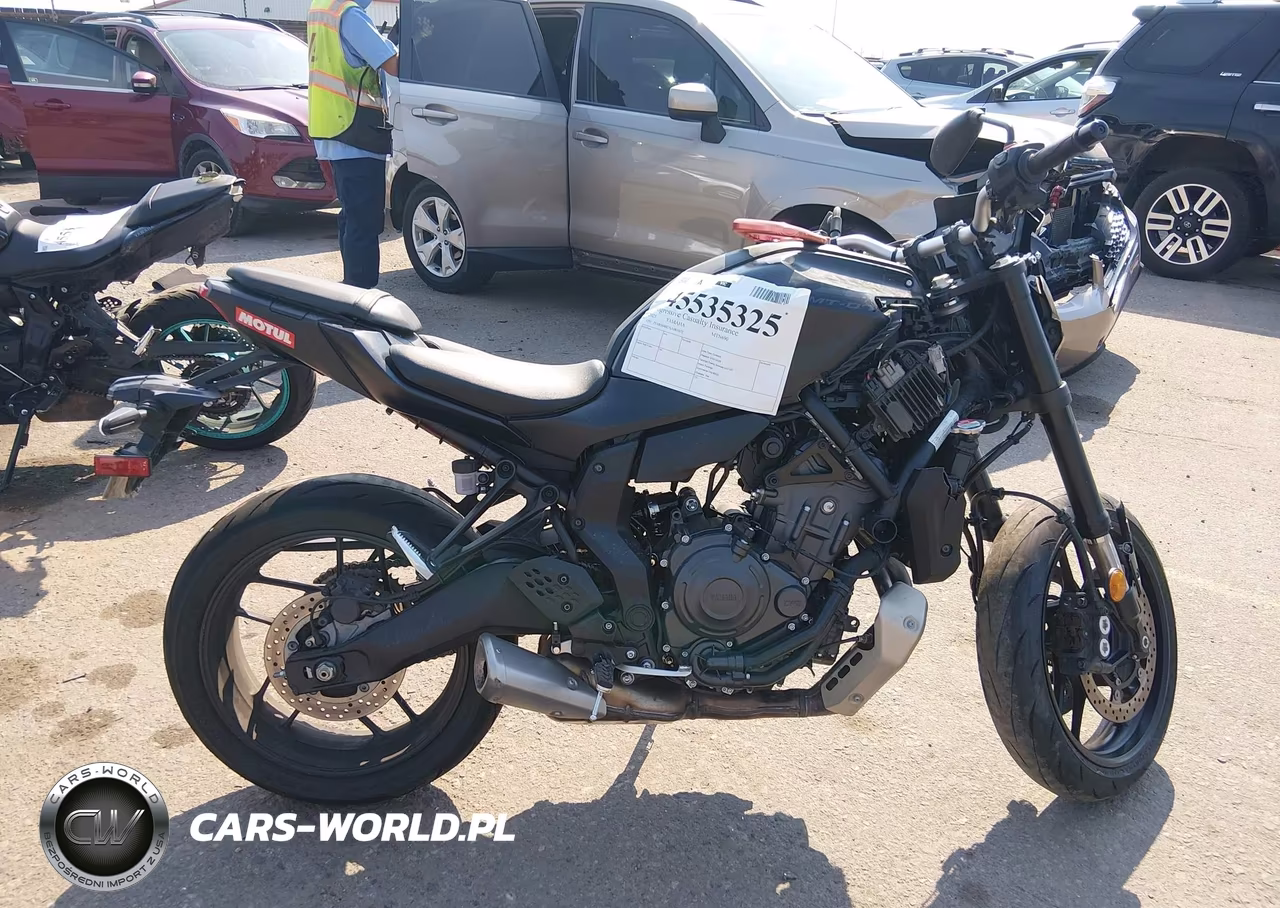 2025 Yamaha Mtn690 VIN:JYARM48E3SA001672 - 12