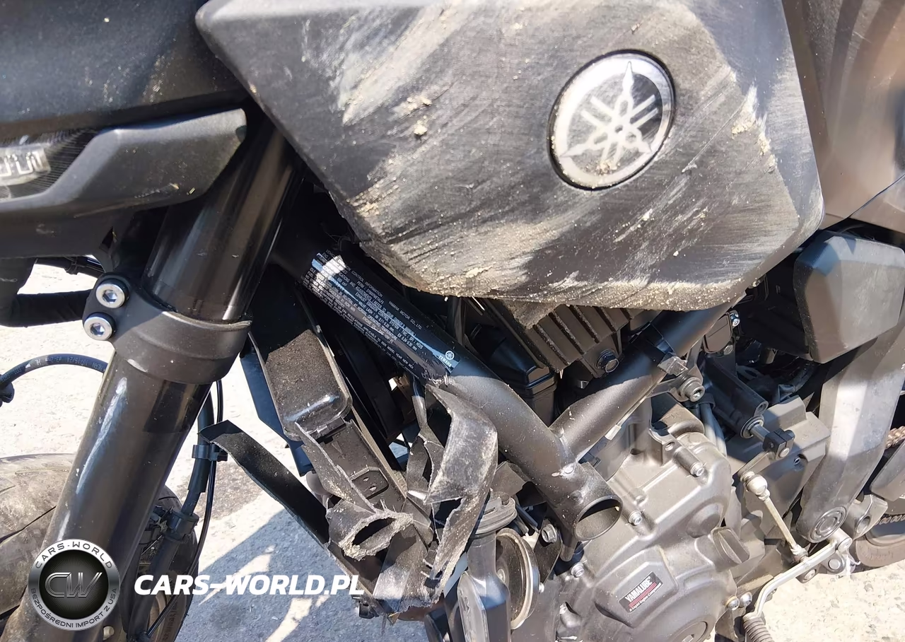 2025 Yamaha Mtn690 VIN:JYARM48E3SA001672 - 14