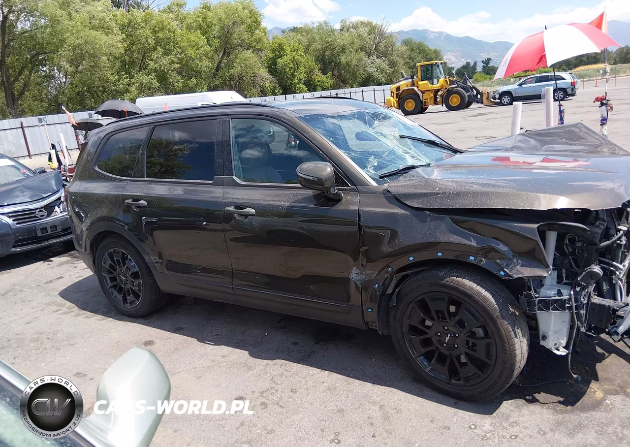 2022 Kia Telluride Sx VIN:5XYP5DHC9NG217697 - 13