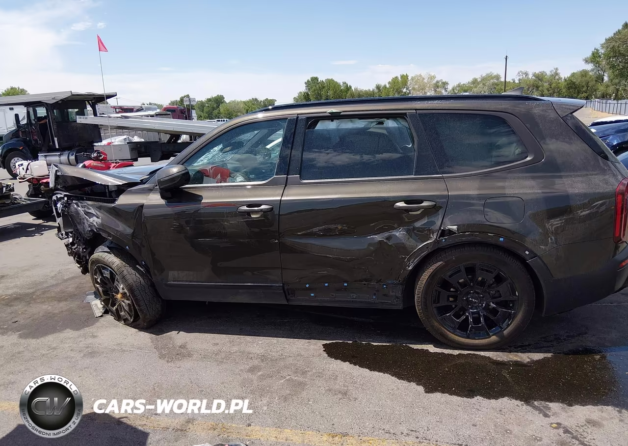 2022 Kia Telluride Sx VIN:5XYP5DHC9NG217697 - 14