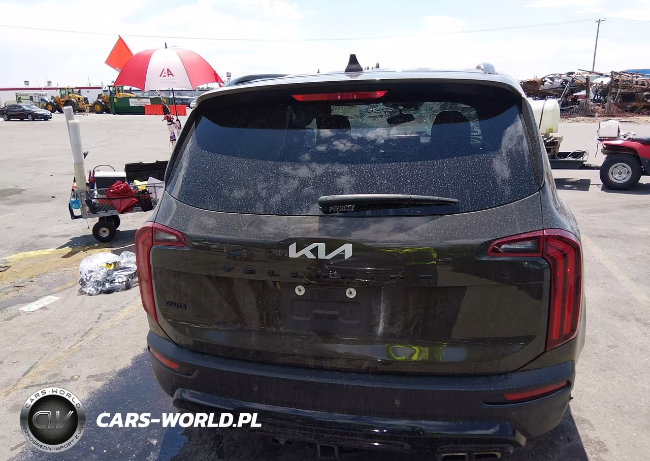 2022 Kia Telluride Sx VIN:5XYP5DHC9NG217697 - 16