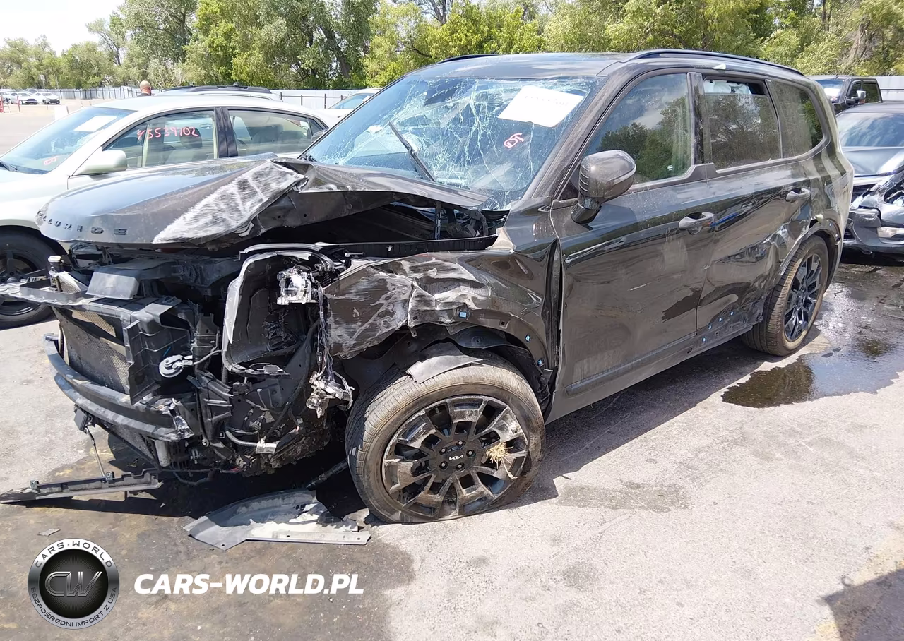 2022 Kia Telluride Sx VIN:5XYP5DHC9NG217697 - 2