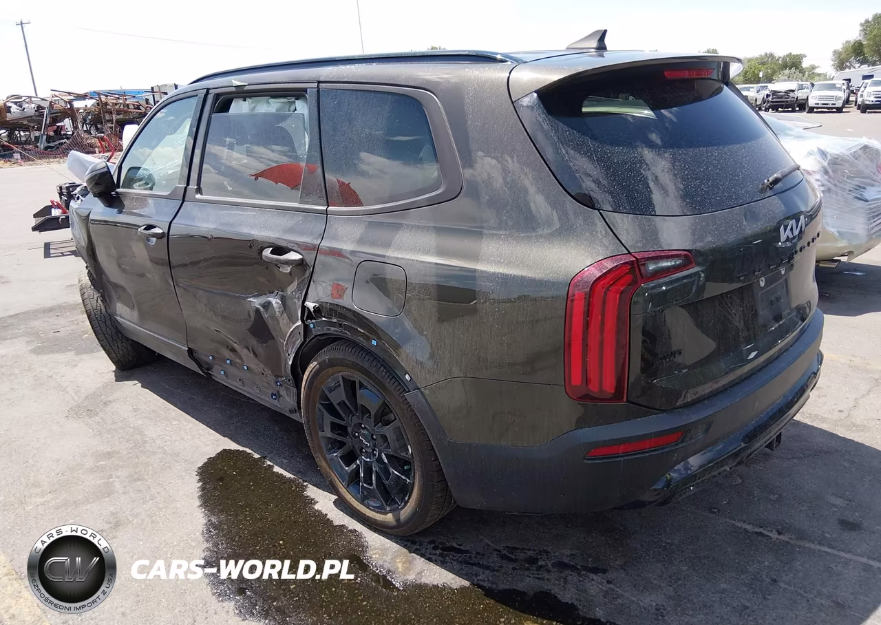 2022 Kia Telluride Sx VIN:5XYP5DHC9NG217697 - 3