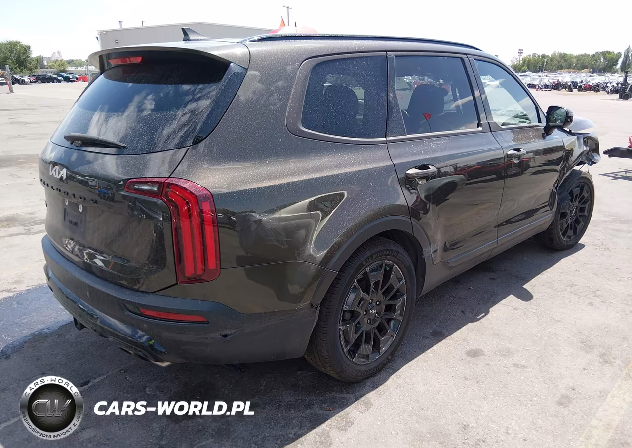 2022 Kia Telluride Sx VIN:5XYP5DHC9NG217697 - 4