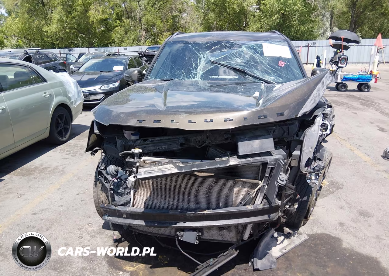 2022 Kia Telluride Sx VIN:5XYP5DHC9NG217697 - 6