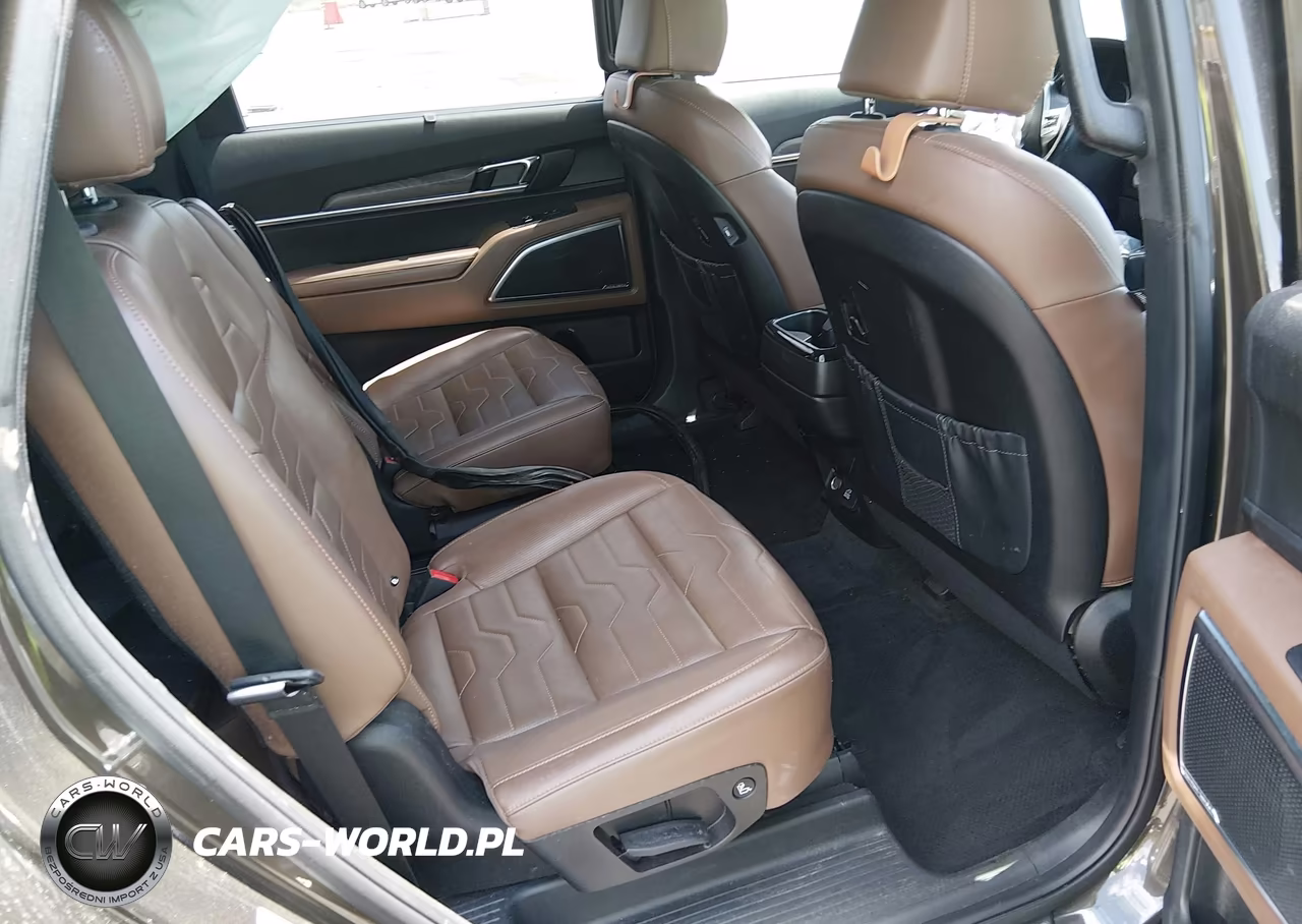 2022 Kia Telluride Sx VIN:5XYP5DHC9NG217697 - 8