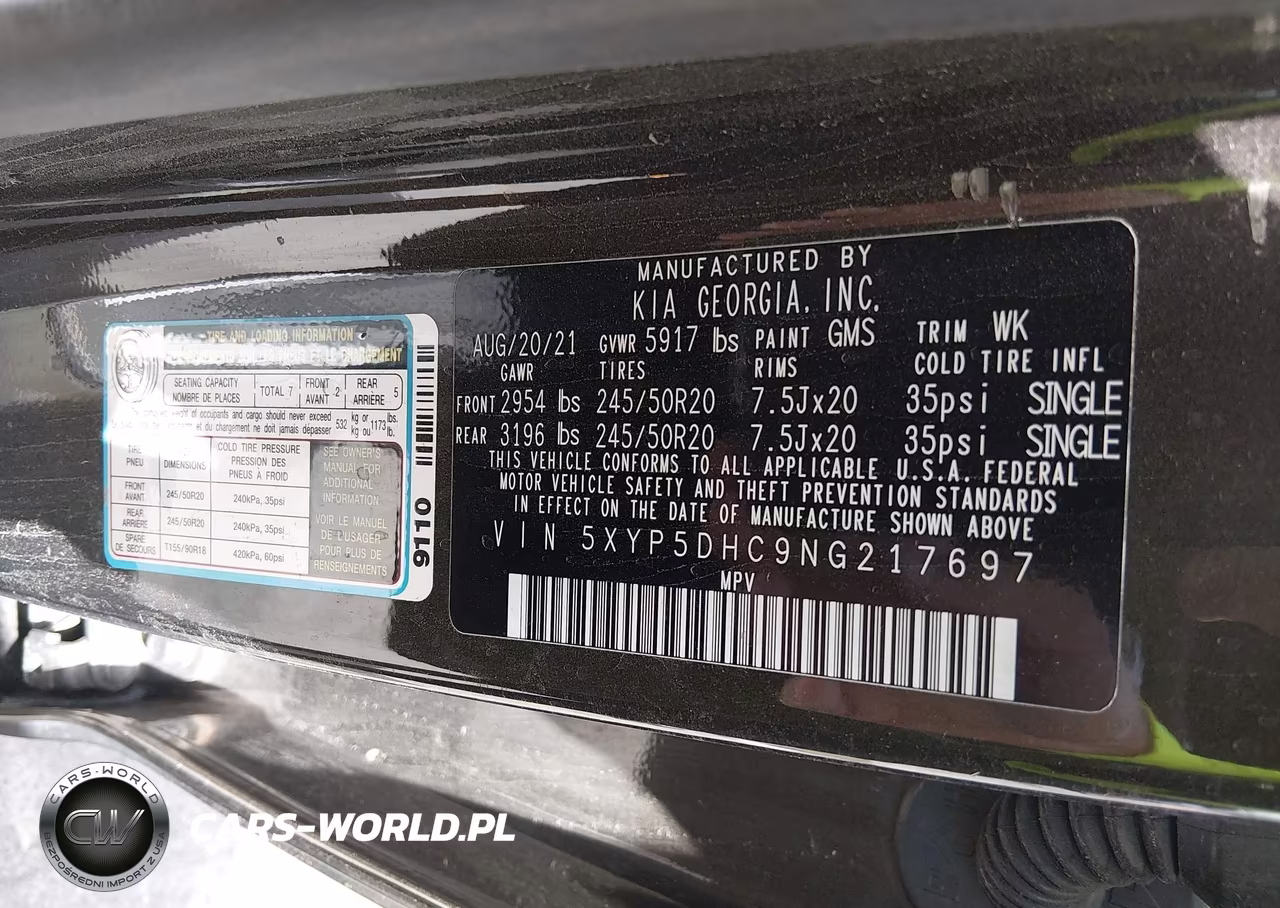 2022 Kia Telluride Sx VIN:5XYP5DHC9NG217697 - 9