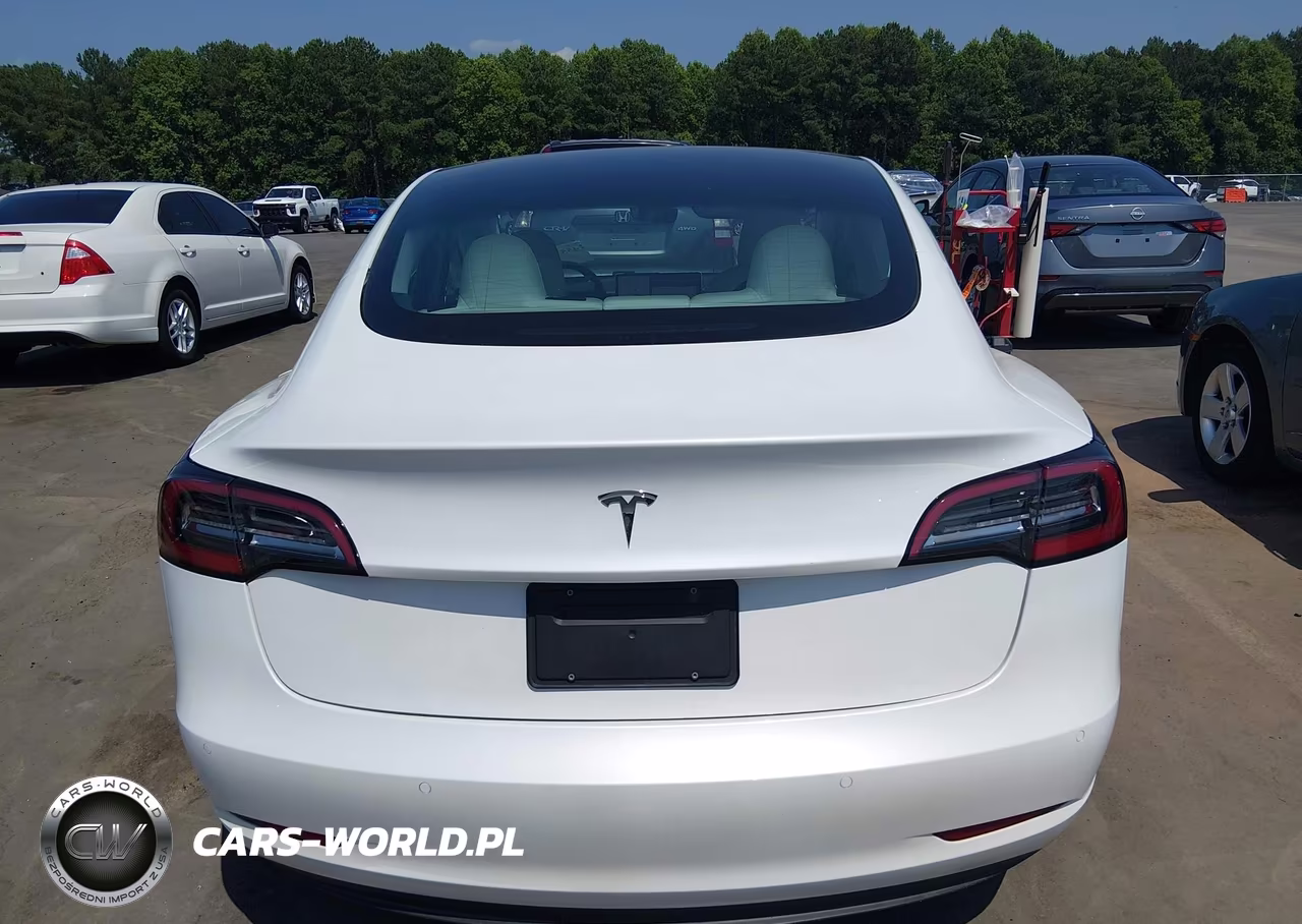 2021 Tesla Model 3 Standard Range Plus Rear-Wheel Drive VIN:5YJ3E1EA7MF026107 - 16
