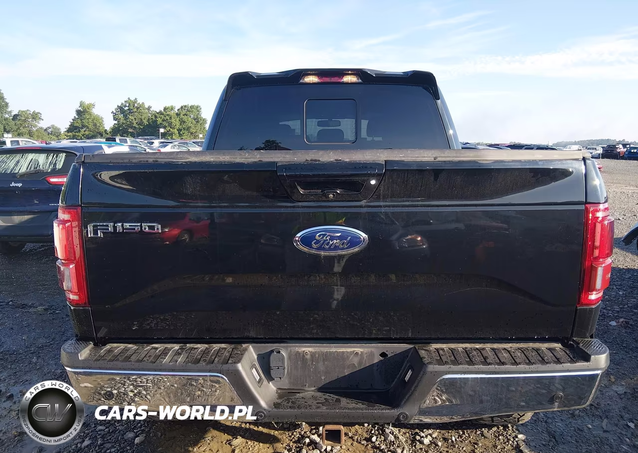 2016 Ford F-150 Lariat VIN:1FTEW1EPXGFB77016 - 16