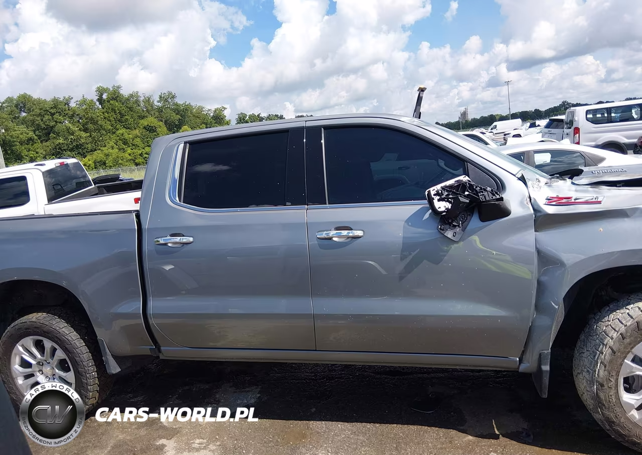 2025 Chevrolet Silverado 1500 VIN:3GCUKGE8XSG258270 - 13