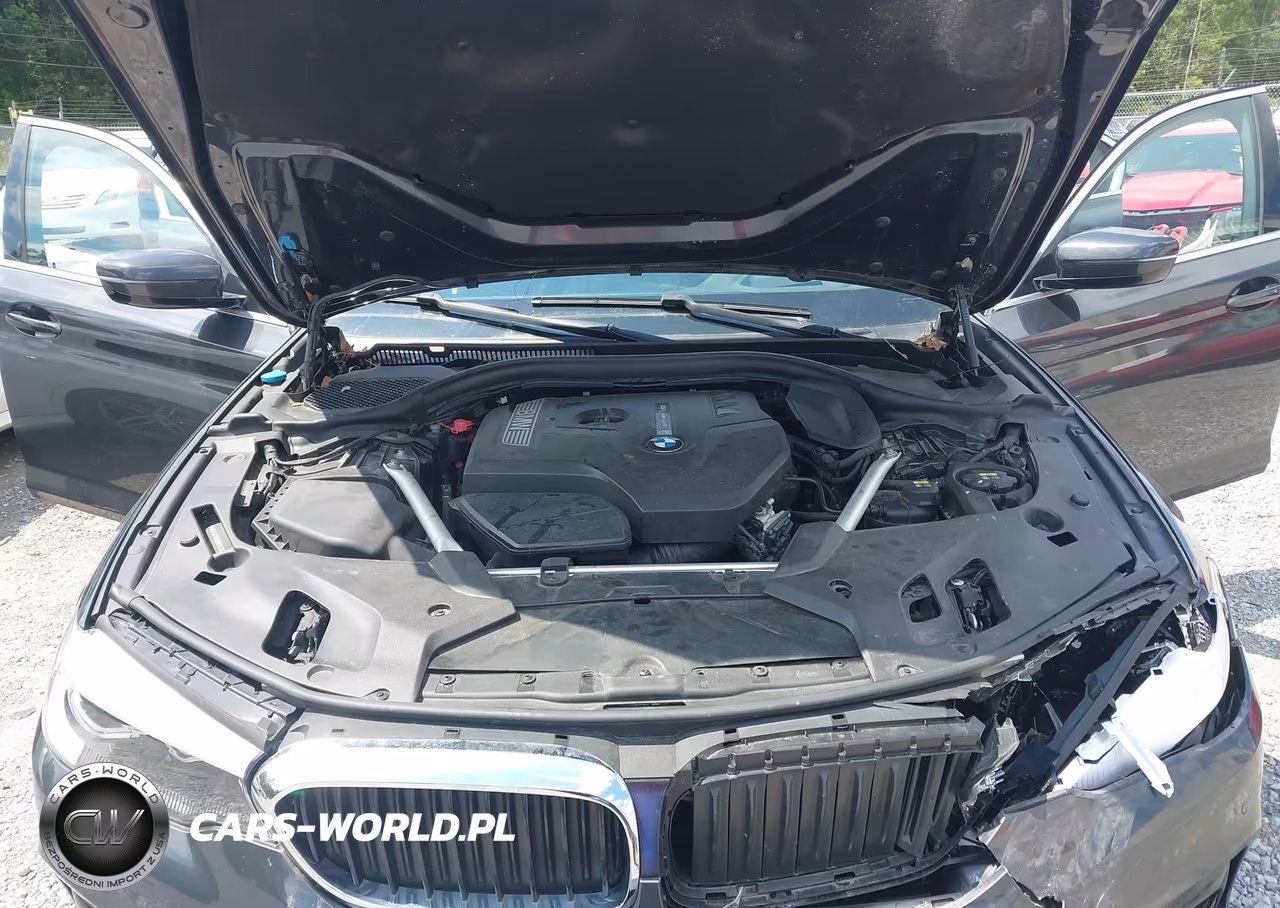 2019 BMW 5 Series 530I xDrive VIN:WBAJA7C56KG912365 - 10