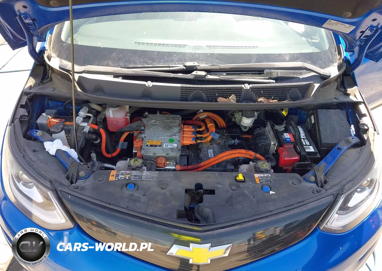 2017 Chevrolet Bolt Ev Lt VIN:1G1FW6S05H4187189 - 10