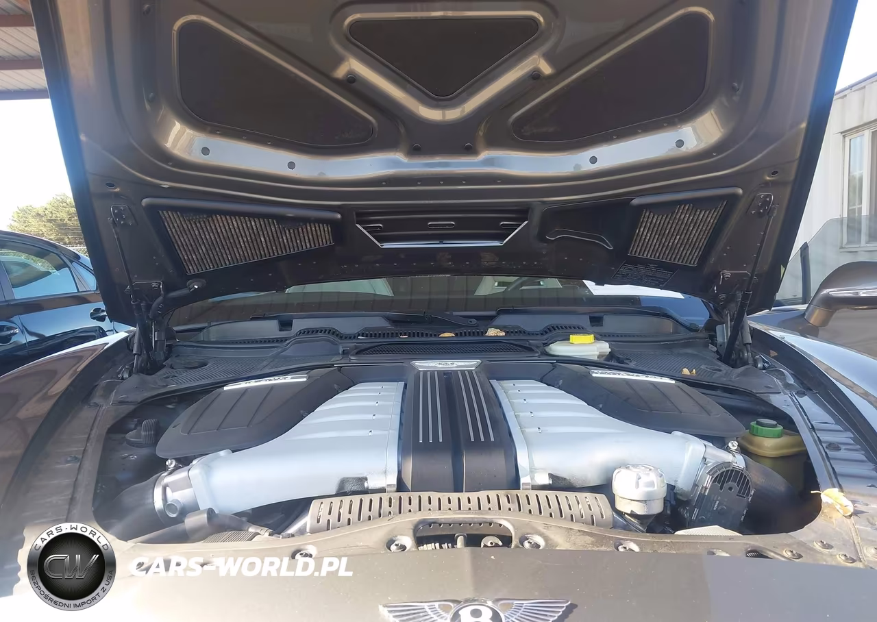 2014 Bentley Continental Gtc VIN:SCBGU3ZA8EC091897 - 10
