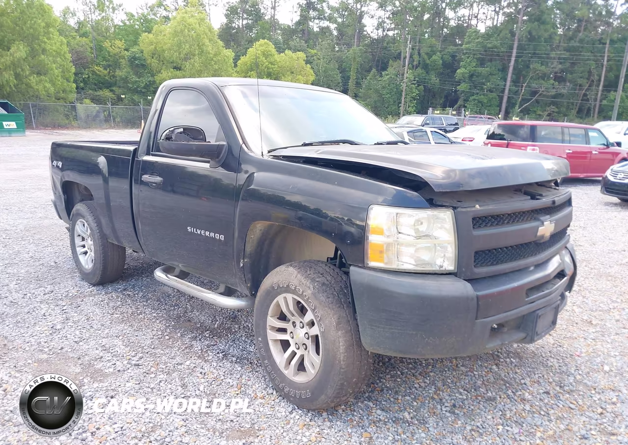 2010 Chevrolet Silverado 1500 Work Truck
