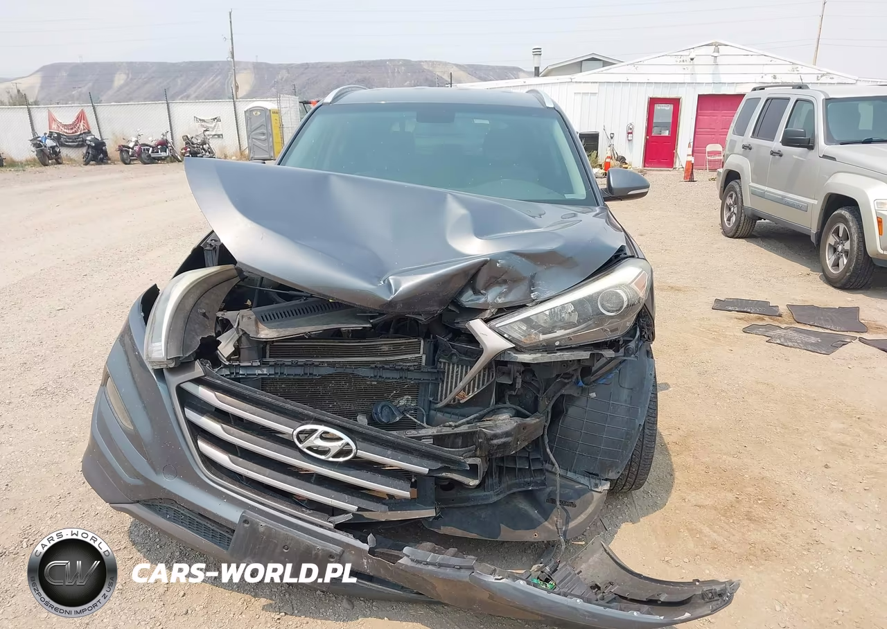 2016 Hyundai Tucson Sport VIN:KM8J3CA23GU189271 - 12
