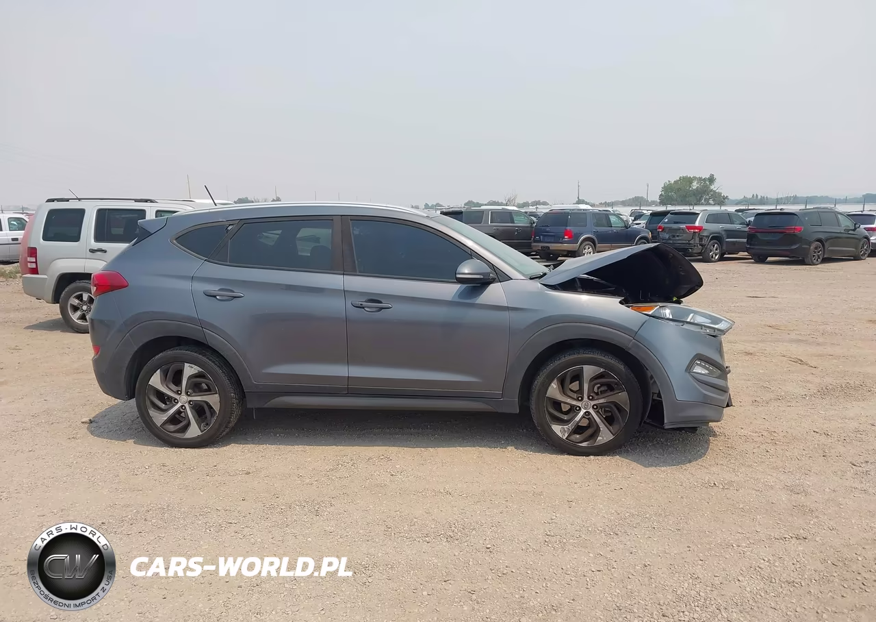 2016 Hyundai Tucson Sport VIN:KM8J3CA23GU189271 - 13
