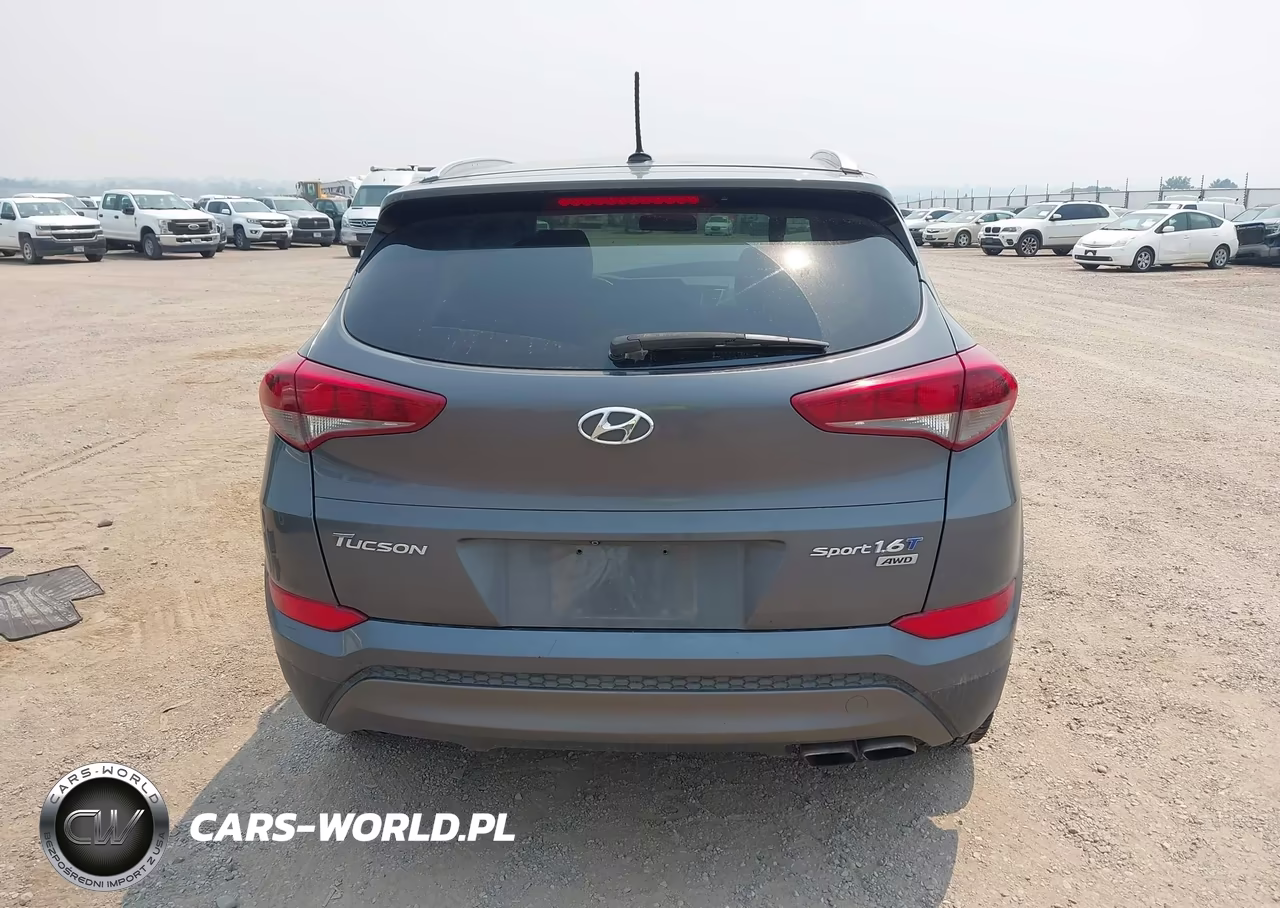 2016 Hyundai Tucson Sport VIN:KM8J3CA23GU189271 - 16