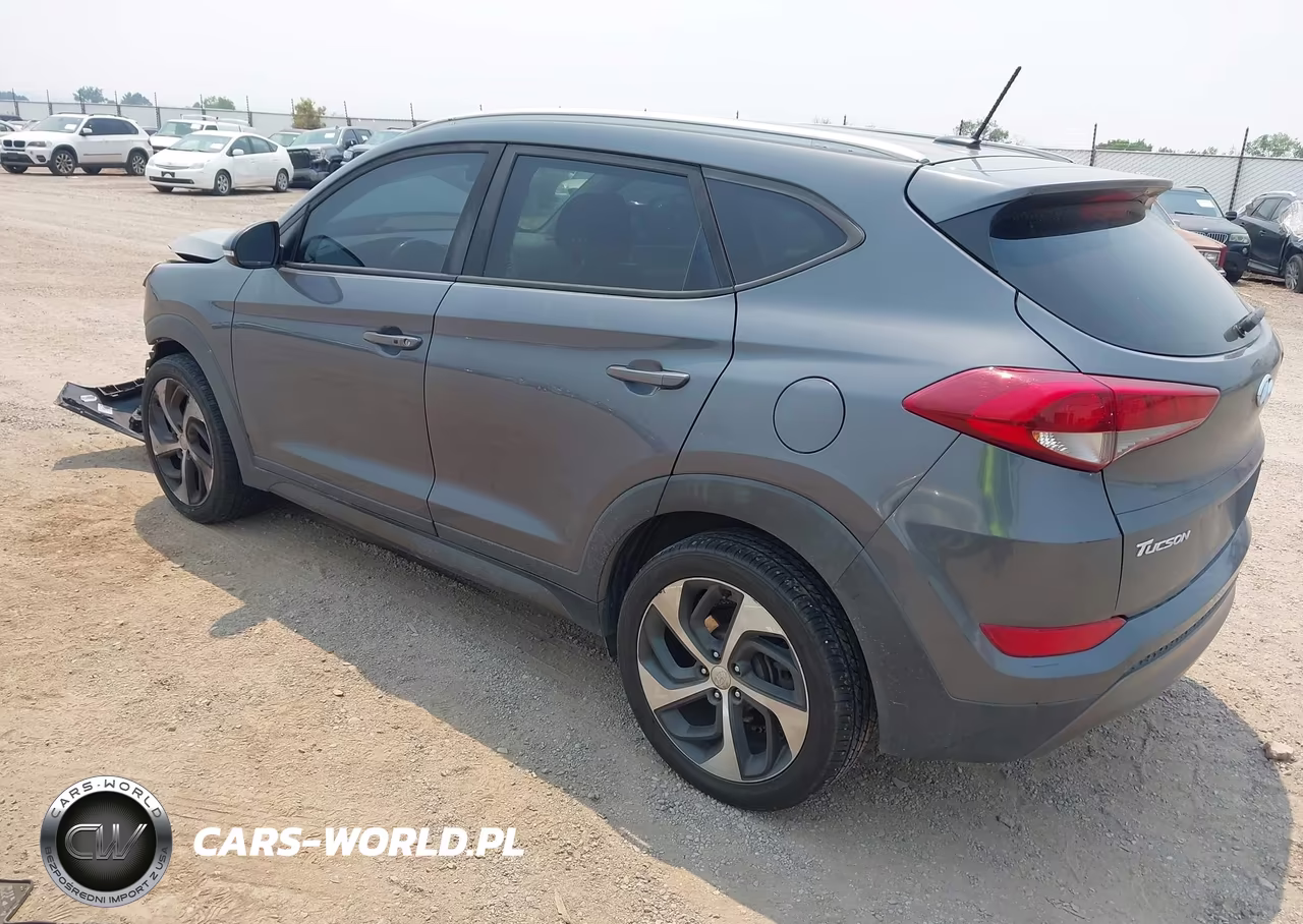 2016 Hyundai Tucson Sport VIN:KM8J3CA23GU189271 - 3
