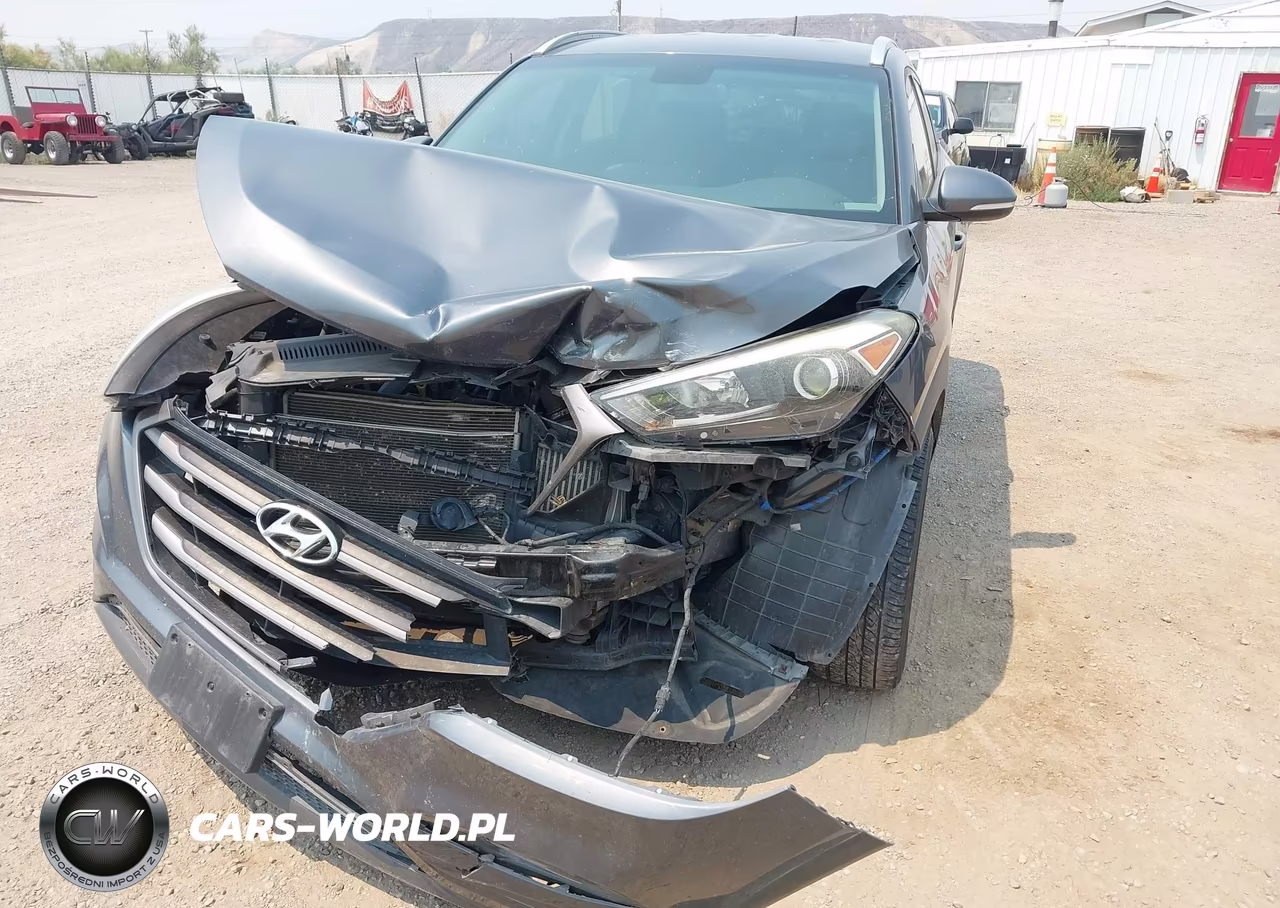 2016 Hyundai Tucson Sport VIN:KM8J3CA23GU189271 - 6