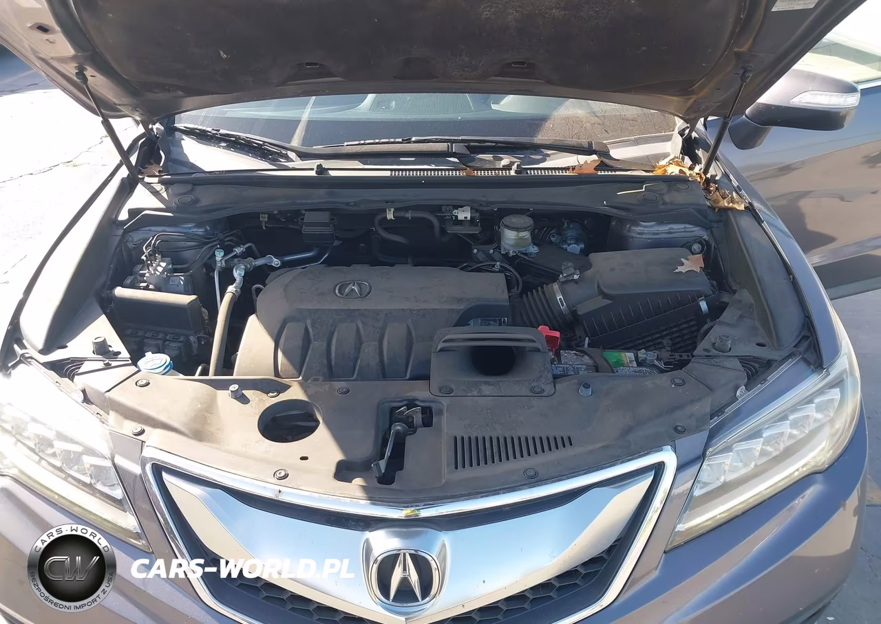 2018 Acura Rdx Advance Package VIN:5J8TB4H79JL015579 - 10