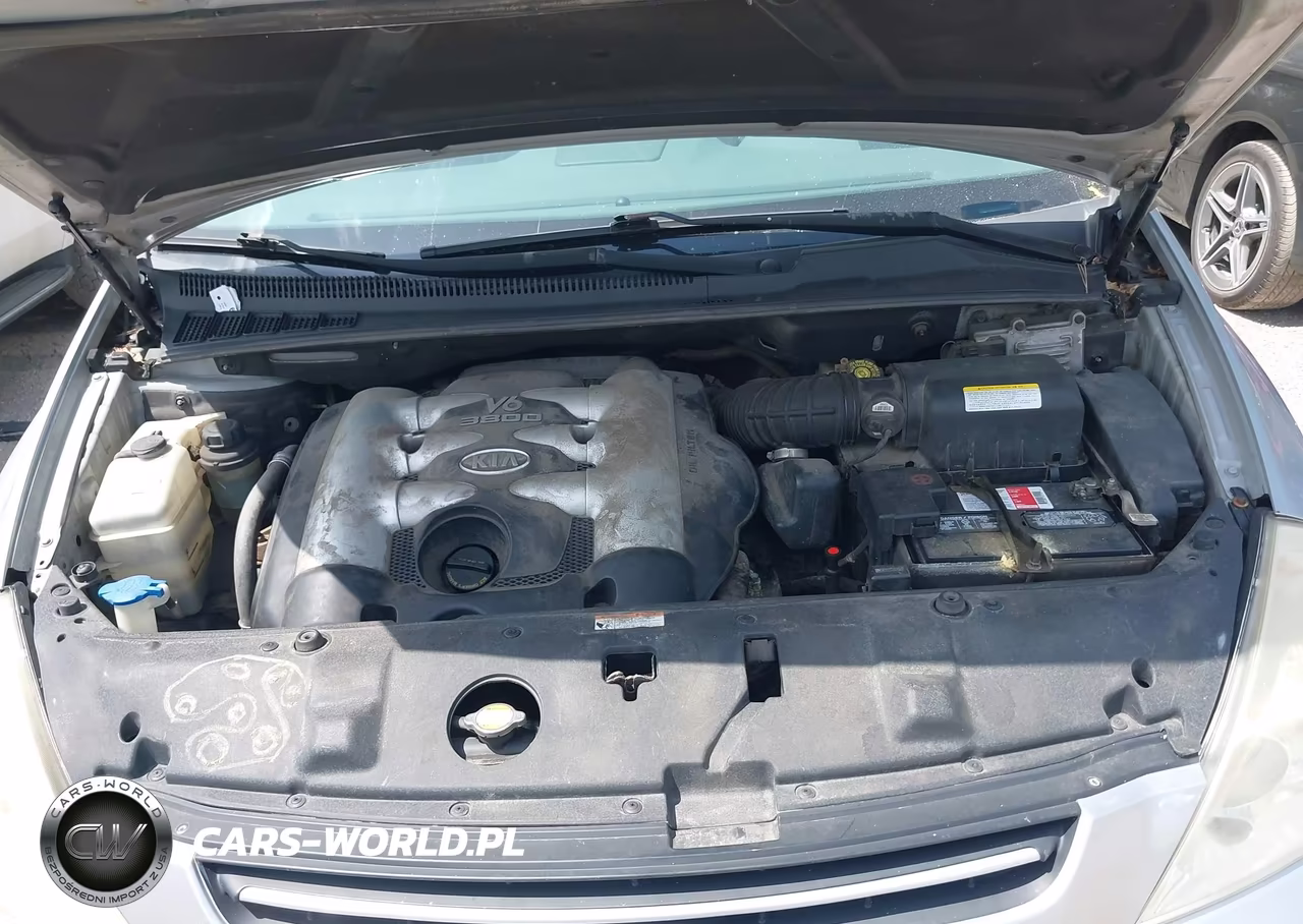 2006 Kia Sedona Ex-Lx VIN:KNDMB233166059061 - 10