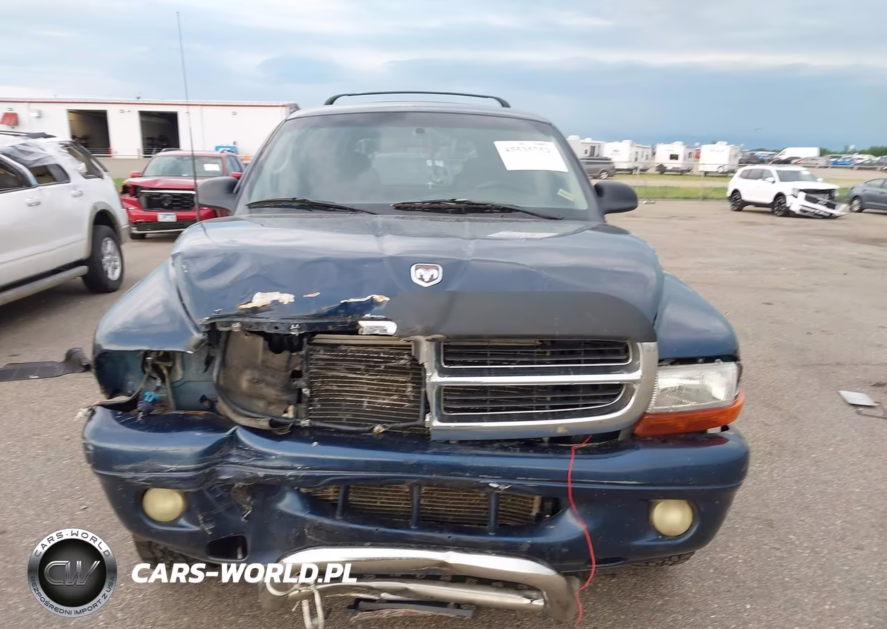 2001 Dodge Durango VIN:1B4HS28N01F638656 - 12