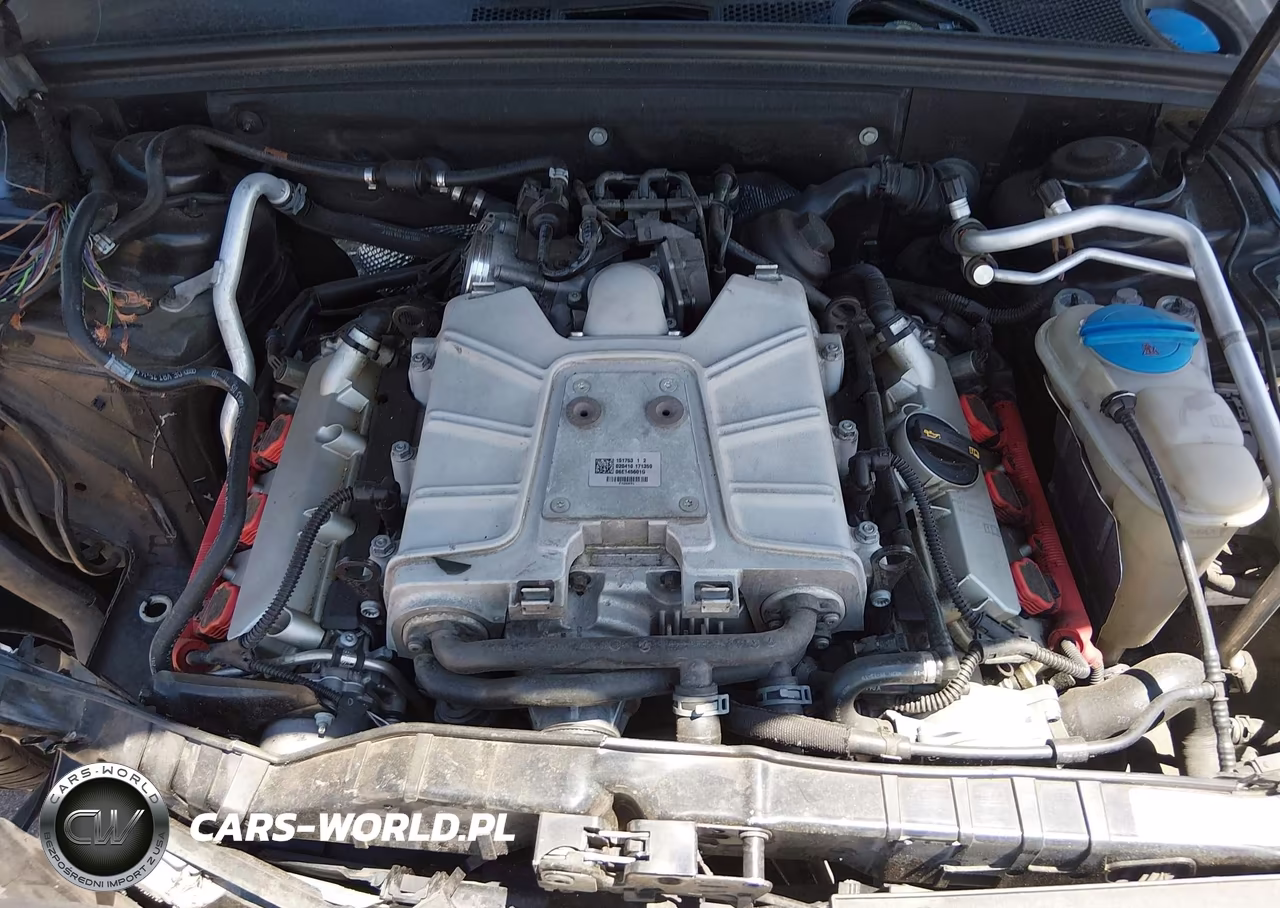 2010 Audi S4 3.0 Premium Plus VIN:WAUBGBFL8AA168687 - 10