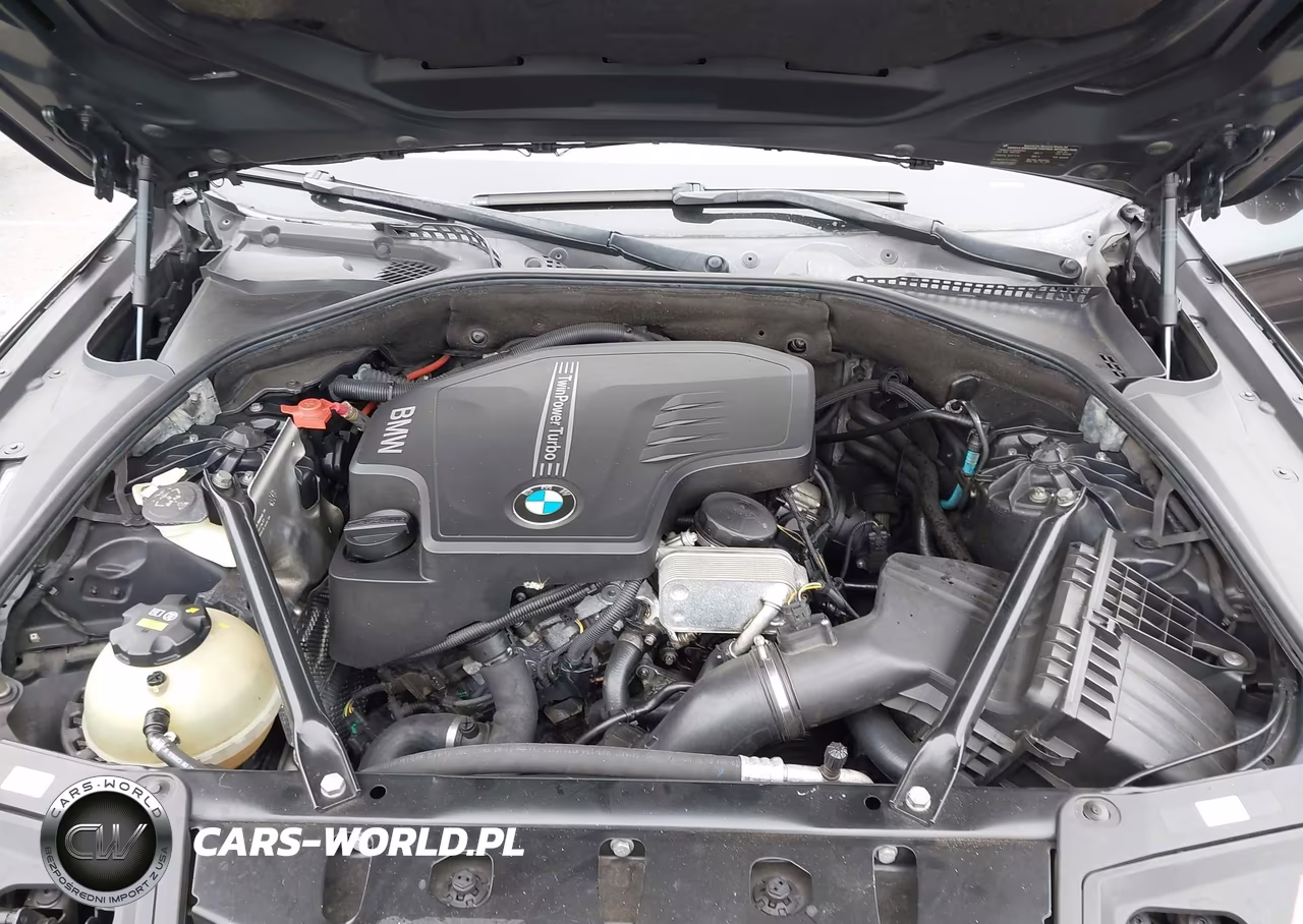 2015 BMW 528I VIN:WBA5A5C57FD522159 - 10