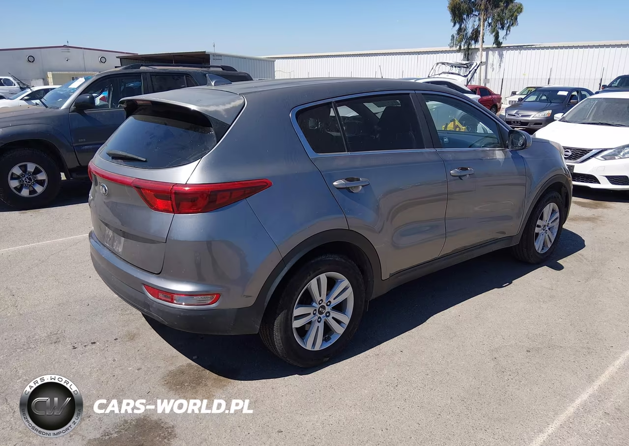 2019 Kia Sportage Lx VIN:KNDPM3AC2K7545818 - 4