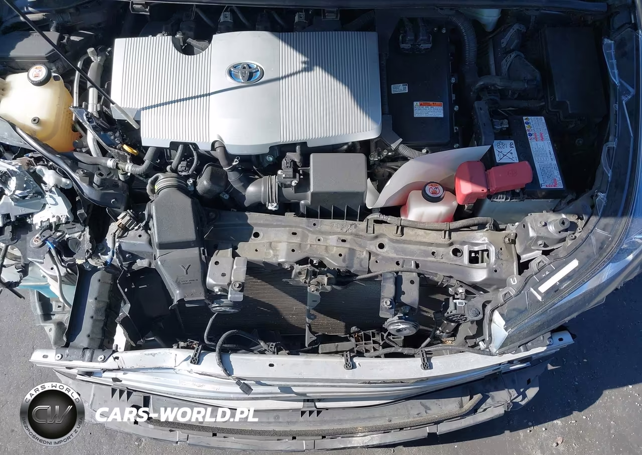 2020 Toyota Prius Xle VIN:JTDKARFU1L3117447 - 10
