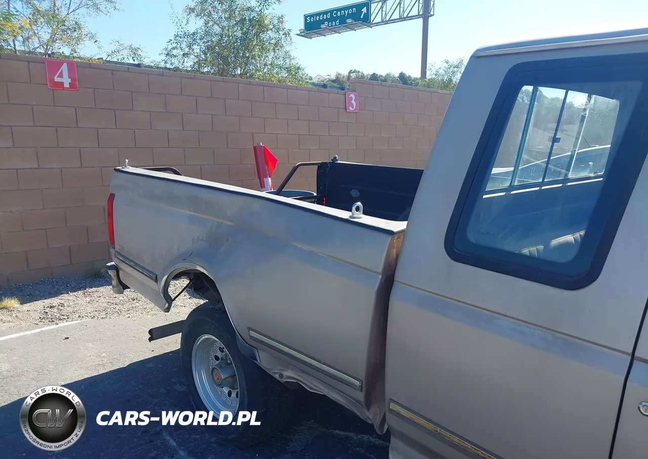 1993 Ford F150 VIN:1FTEX15N9PKB06165 - 12