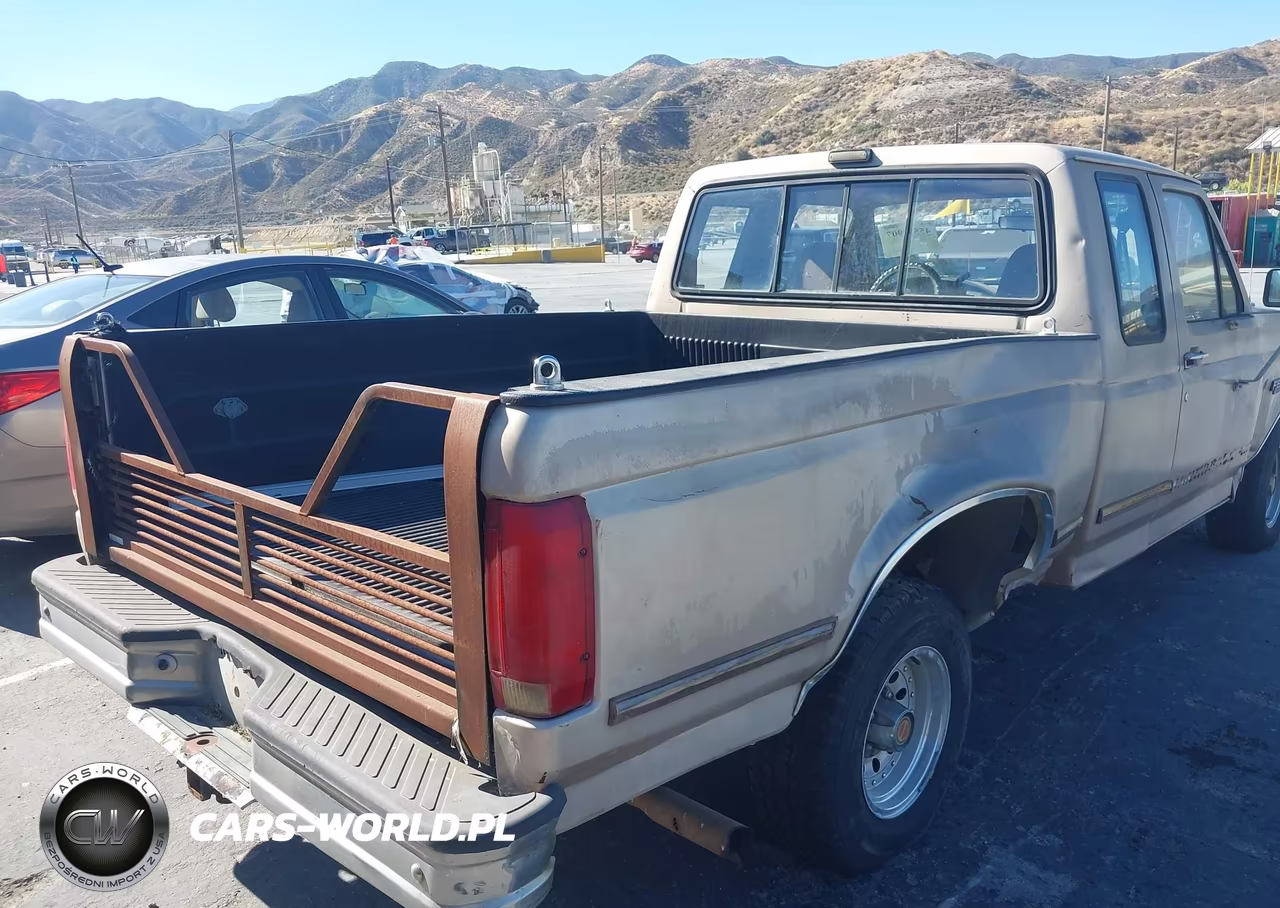 1993 Ford F150 VIN:1FTEX15N9PKB06165 - 13