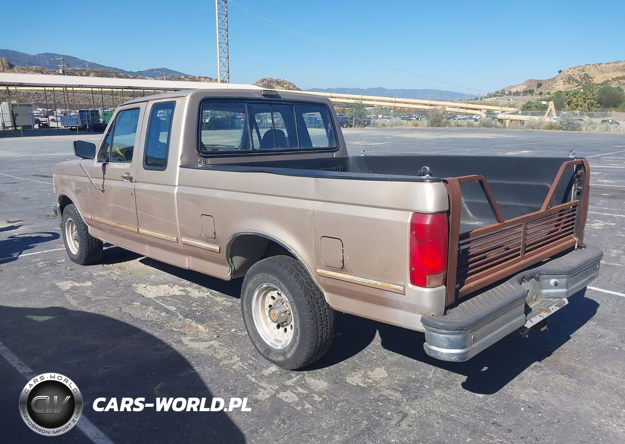 1993 Ford F150 VIN:1FTEX15N9PKB06165 - 3