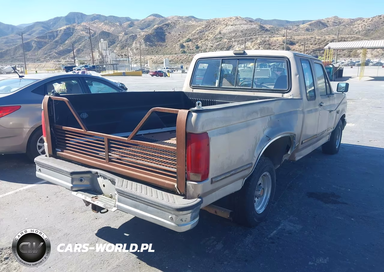 1993 Ford F150 VIN:1FTEX15N9PKB06165 - 4