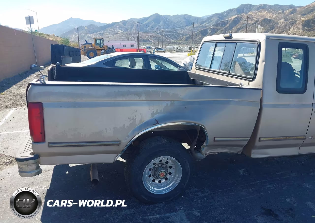 1993 Ford F150 VIN:1FTEX15N9PKB06165 - 6