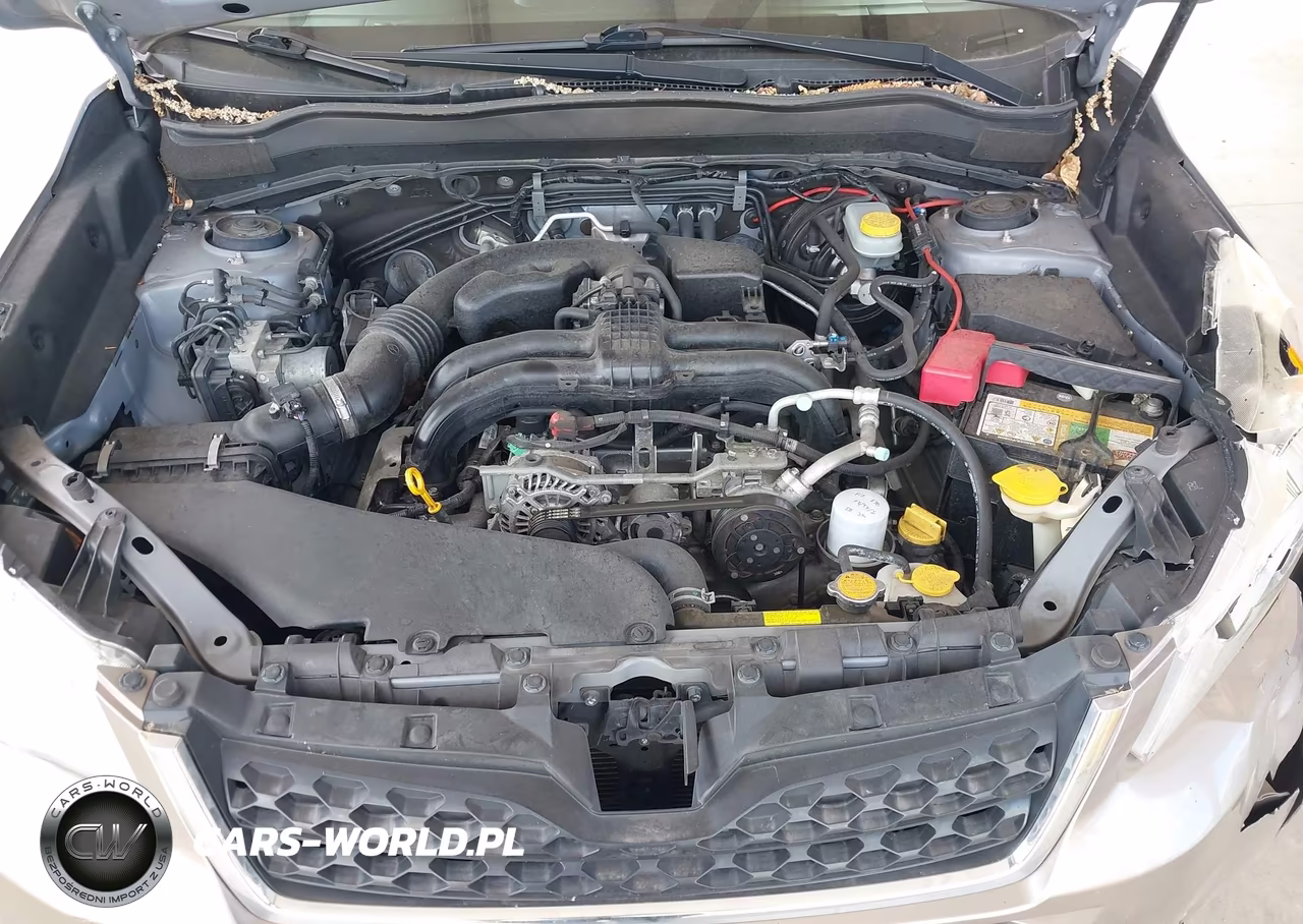 2015 Subaru Forester 2.5I Touring VIN:JF2SJAWC9FH517998 - 10