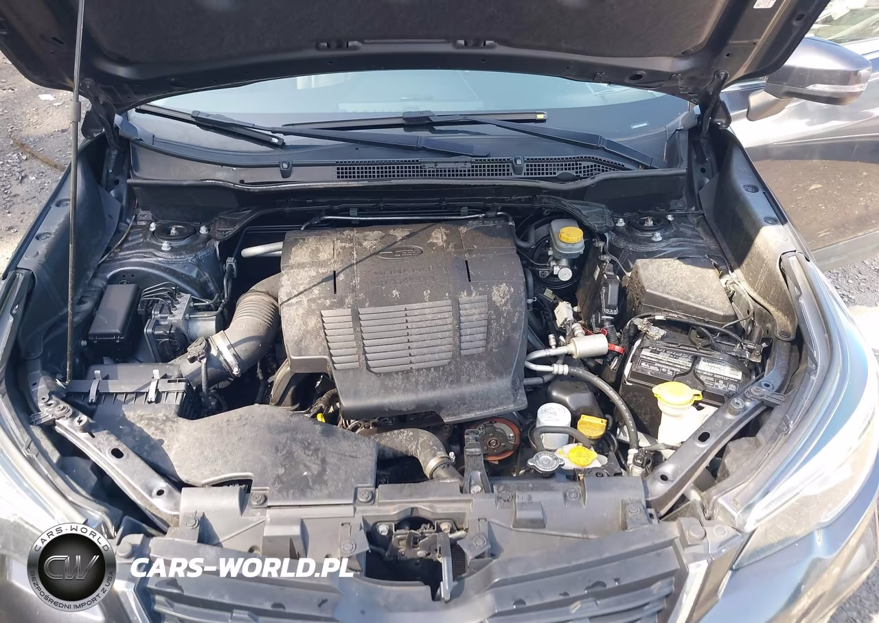 2019 Subaru Forester Limited VIN:JF2SKASC7KH489406 - 10