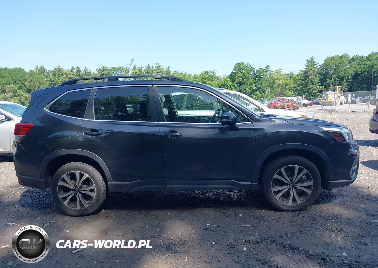 2019 Subaru Forester Limited VIN:JF2SKASC7KH489406 - 13