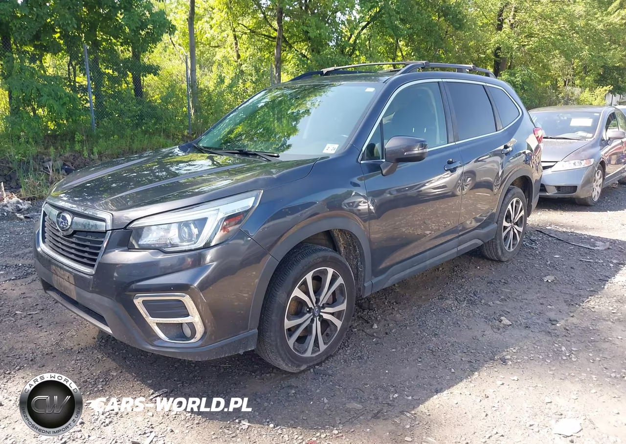 2019 Subaru Forester Limited VIN:JF2SKASC7KH489406 - 2
