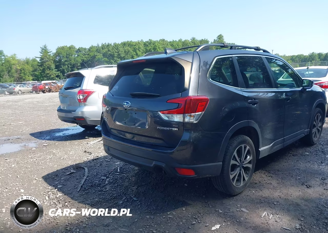 2019 Subaru Forester Limited VIN:JF2SKASC7KH489406 - 4