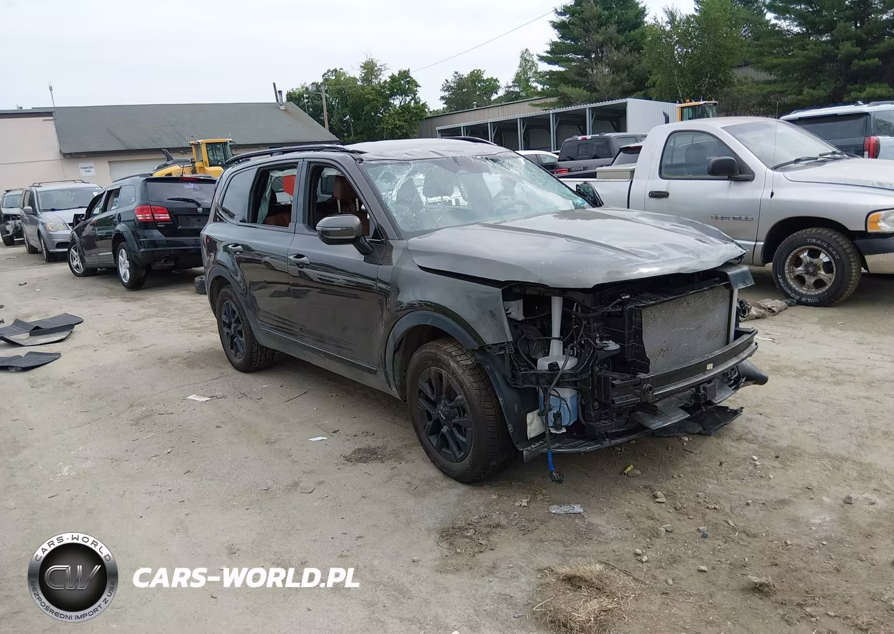 2024 Kia Telluride Sx X-Pro